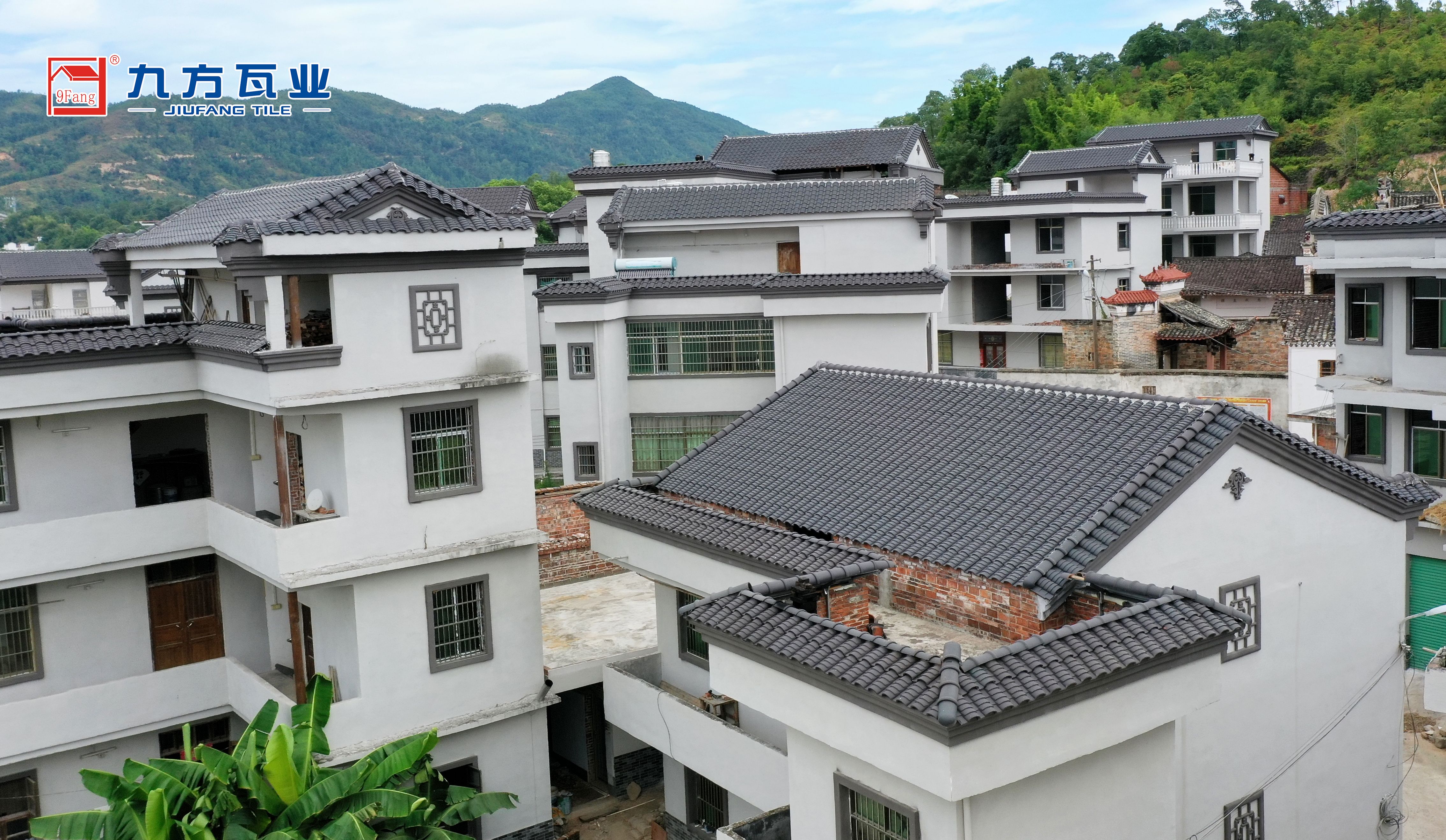 壹定发摘要2022第24期