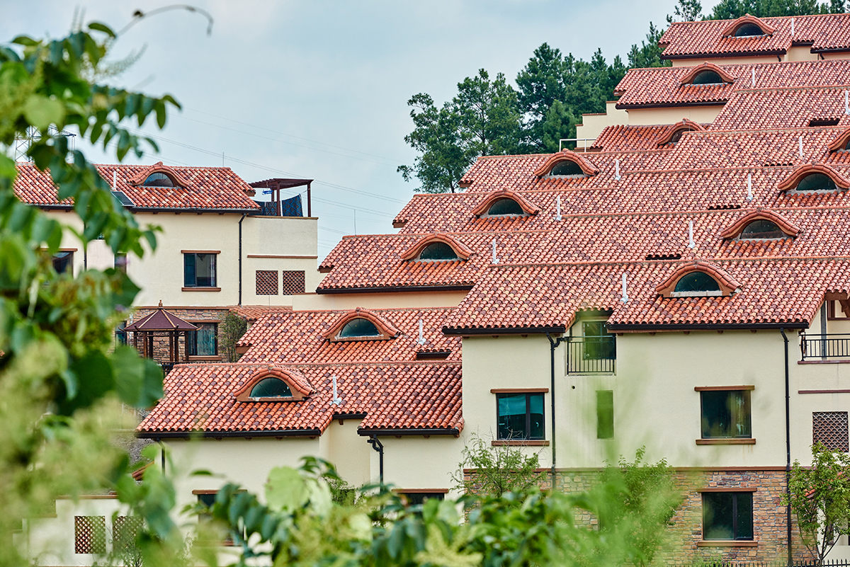 壹定发摘要2023第29期