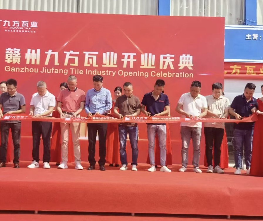 壹定发摘要2024第11期