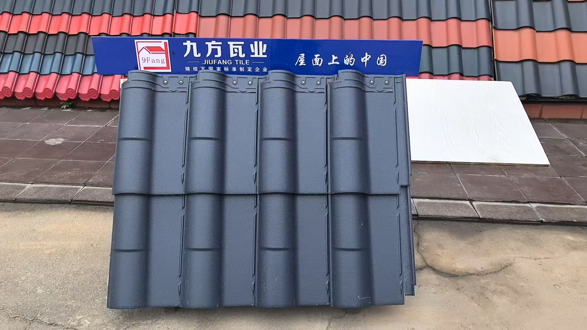 壹定发摘要2025第11期