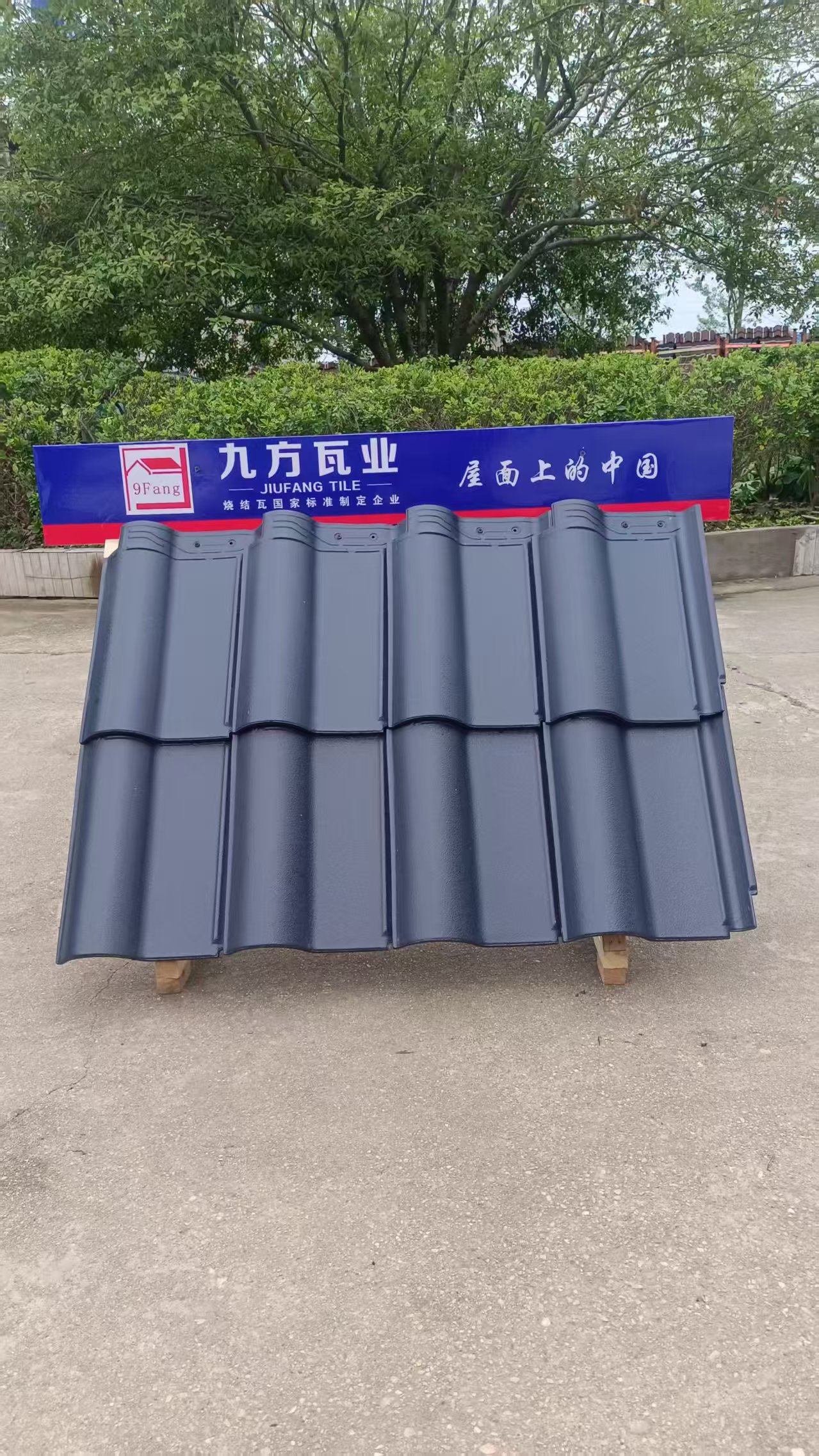 壹定发摘要2025第16期